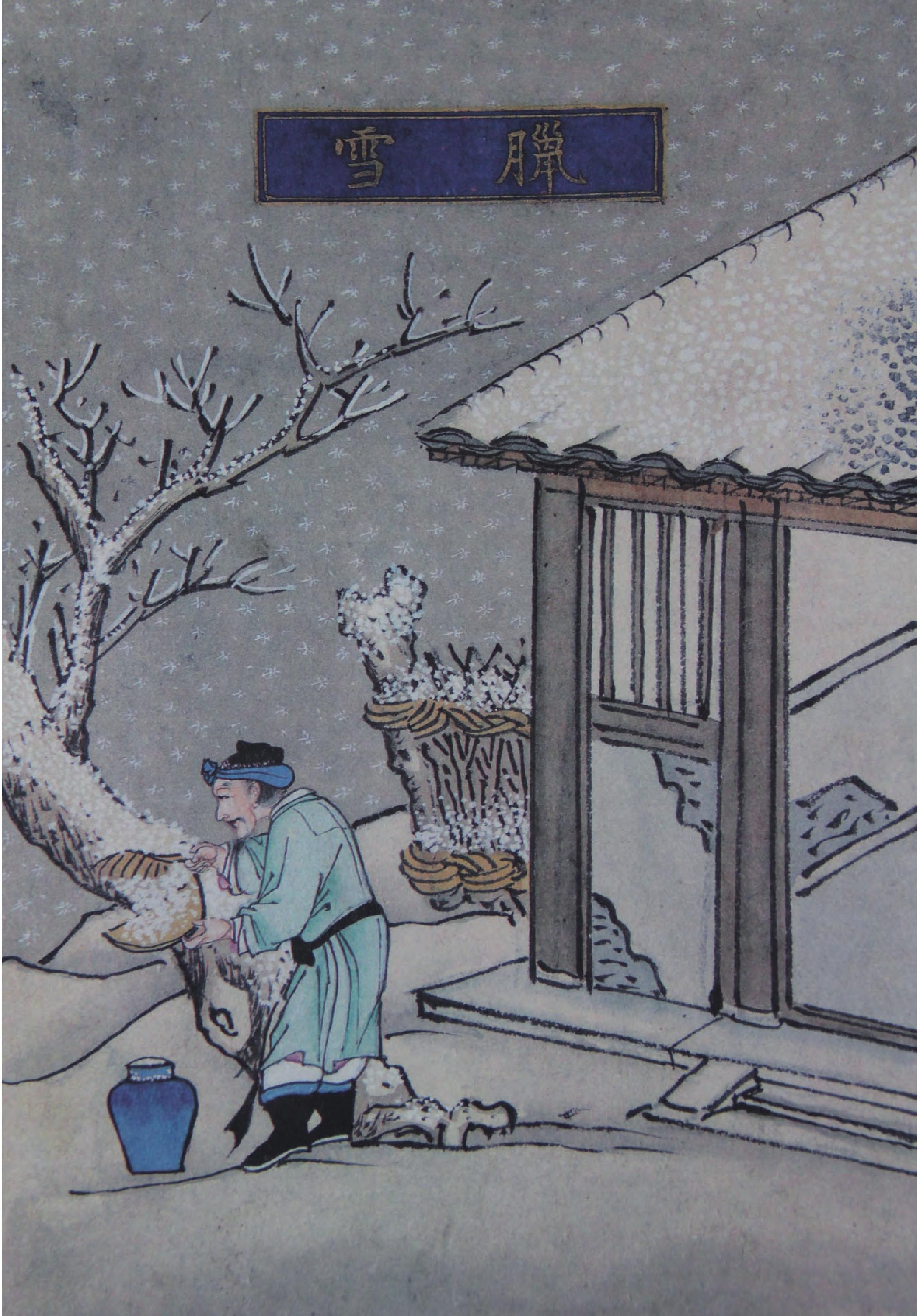 雪水類