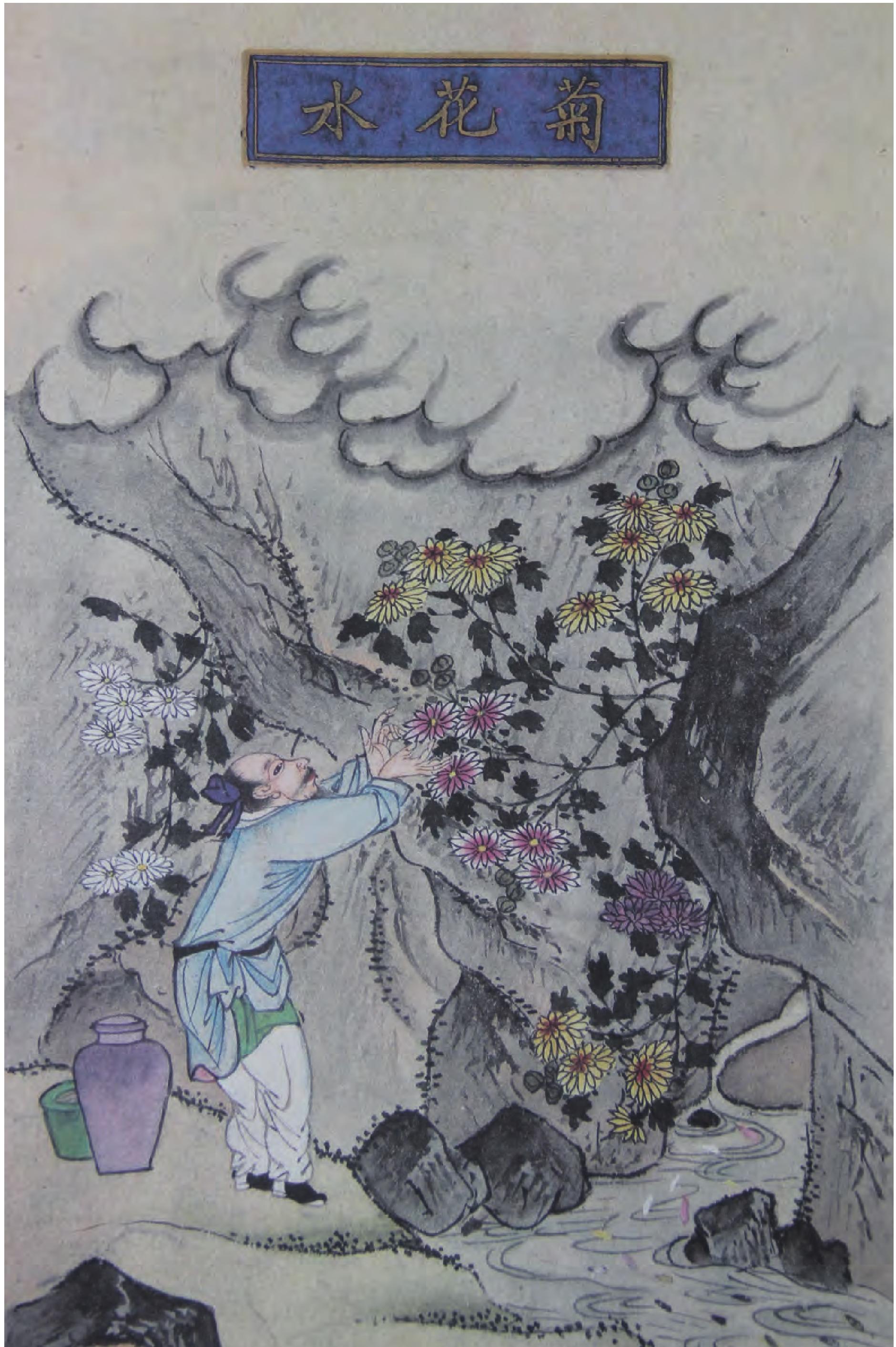 花水類(lèi)
