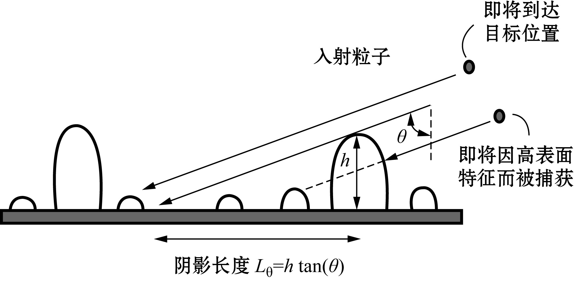 2.4.1 傾斜沉積雕塑薄膜的基本性質(zhì)