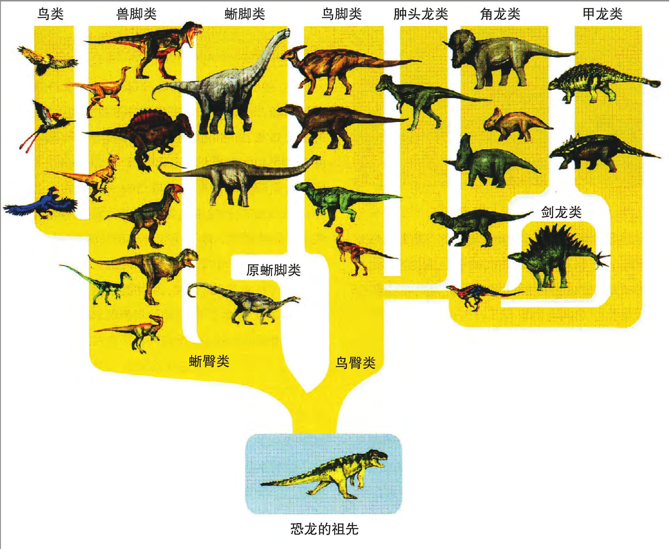 恐龙的系统演化