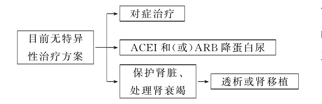 第四節(jié) 芬蘭型遺傳性腎病綜合征