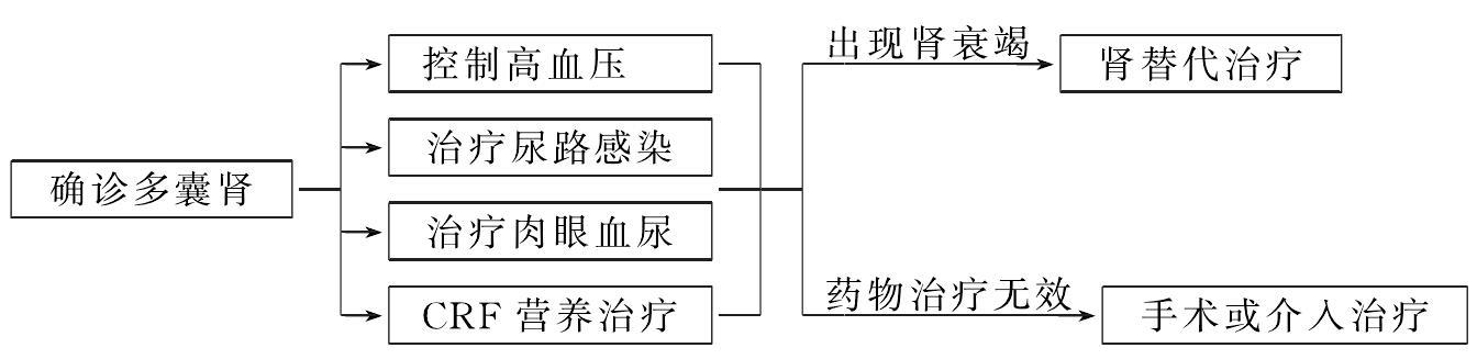 第十節(jié) 多囊腎