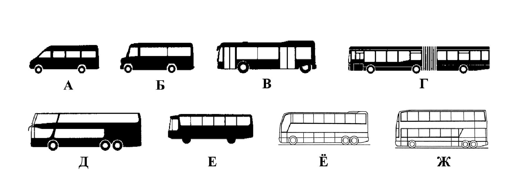 Рис.1.6.Типы автобусов