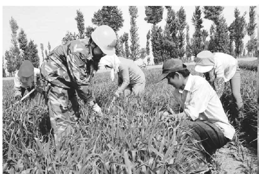 甘肃首个农村电气化县