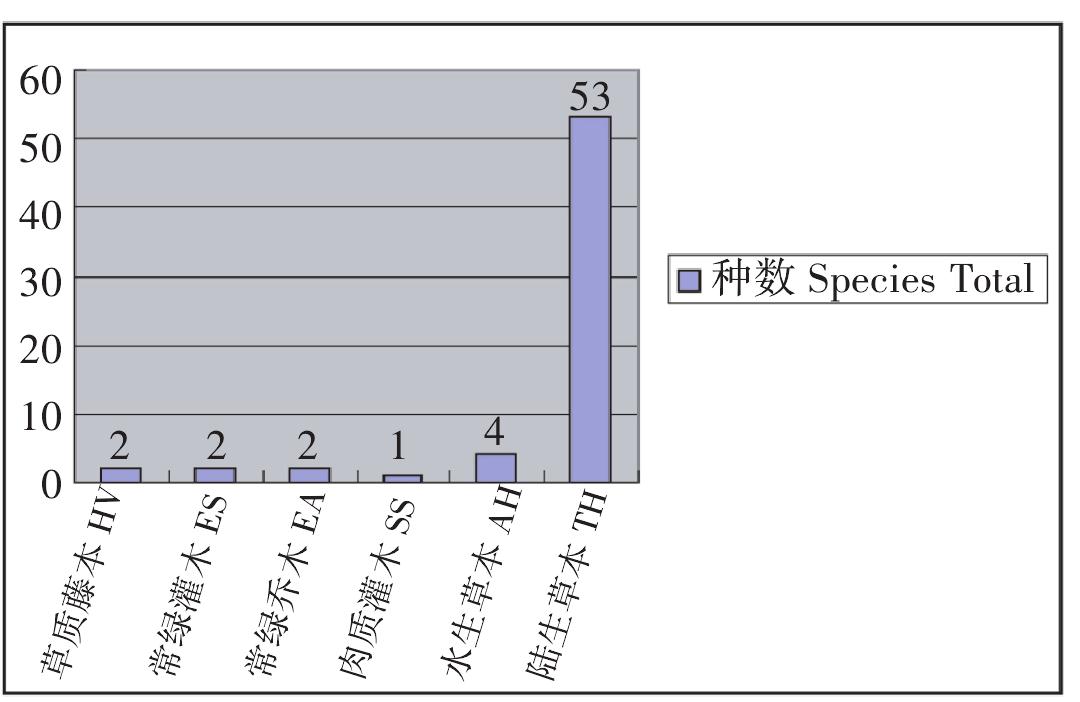 第三节 外来入侵植物的生长型