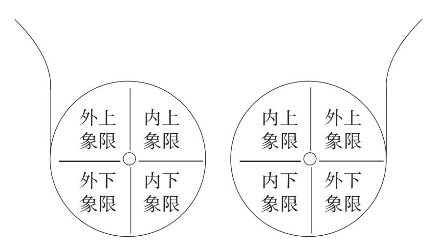 将乳腺分为内上,内下,外上,外下4个象限(图1