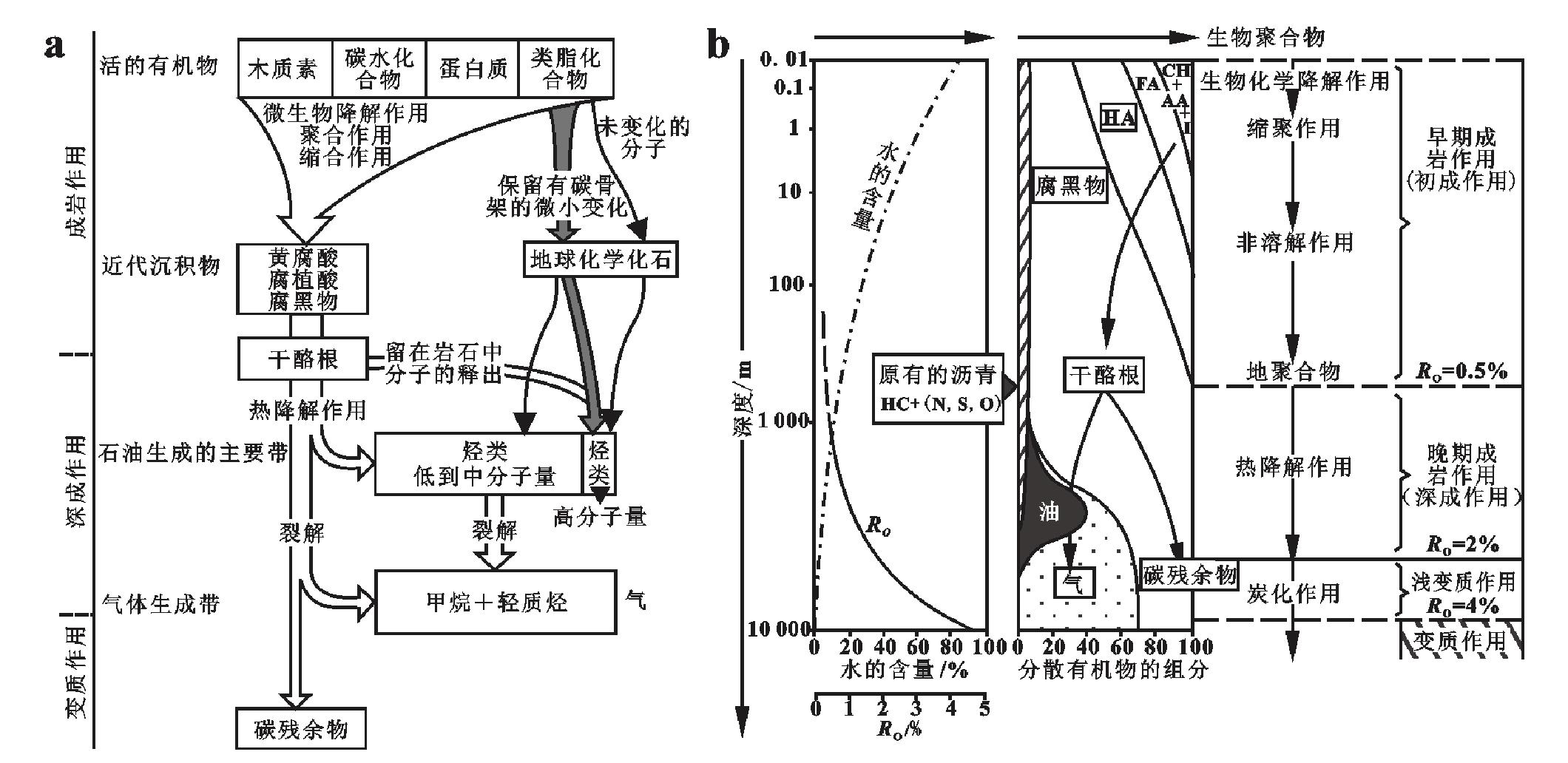 烃类形成过程中的有机质成岩作用与演化