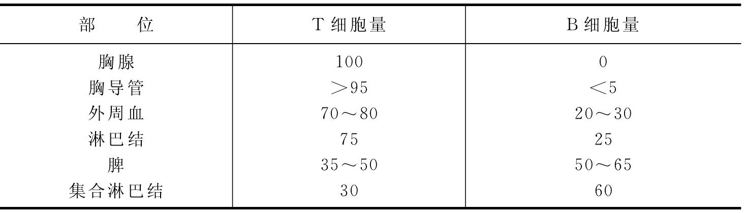 四、免疫系统