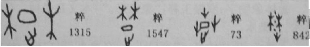 破譯甲骨文字之二十：楚