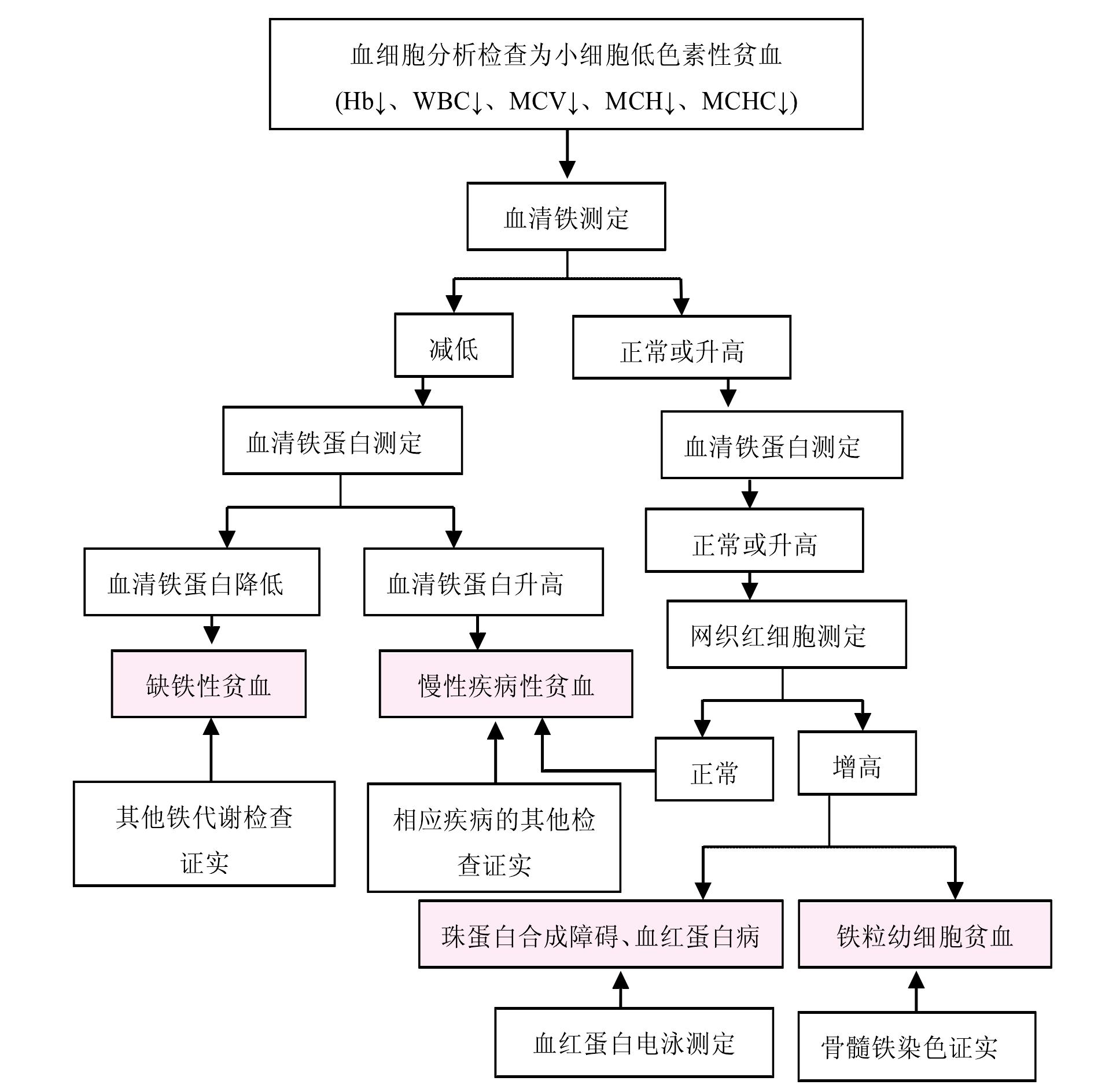 第一節(jié) 缺鐵性貧血