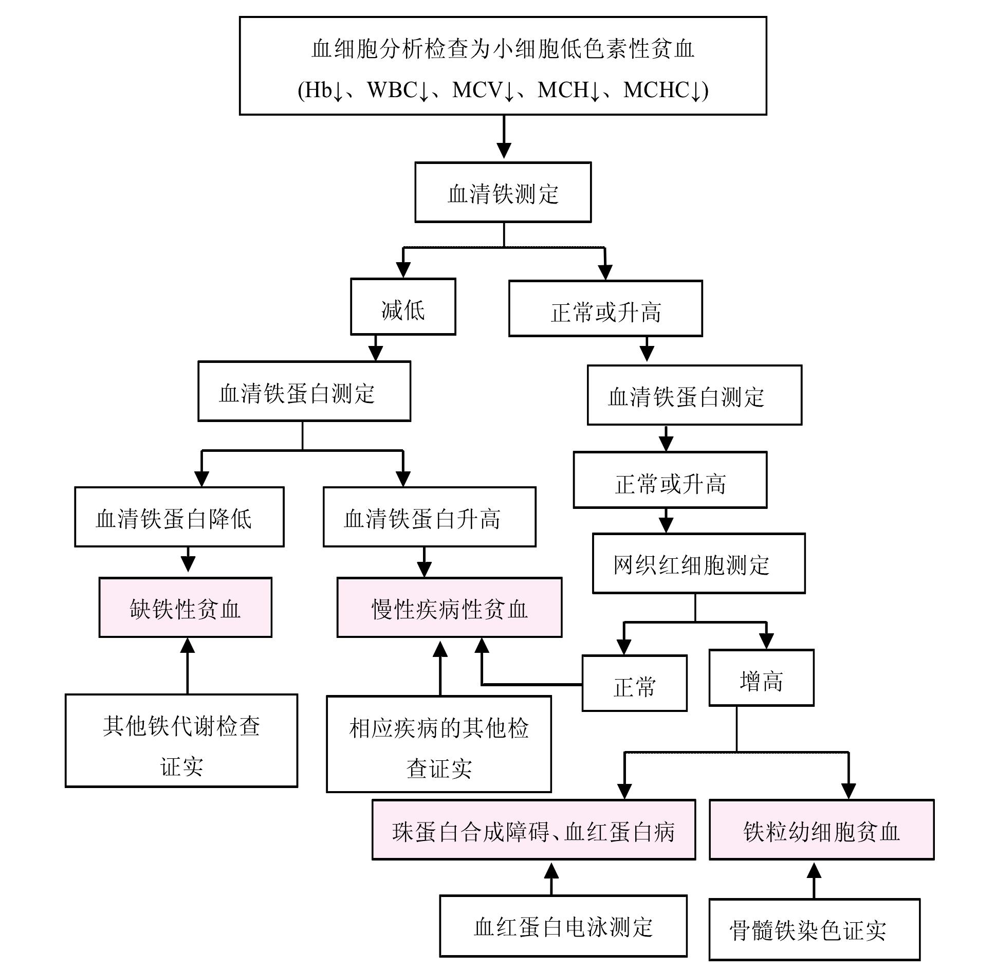 第一节 缺铁性贫血