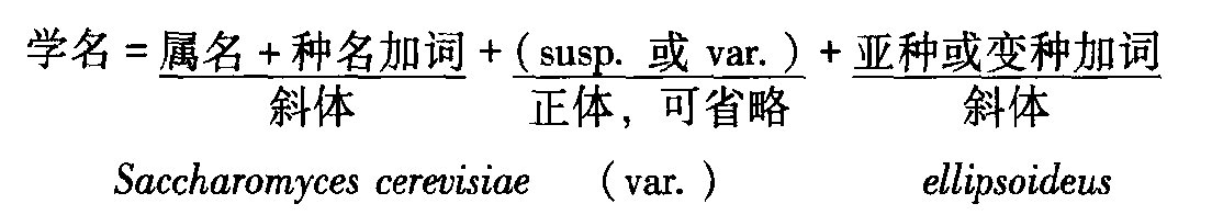 二、微生物的命名