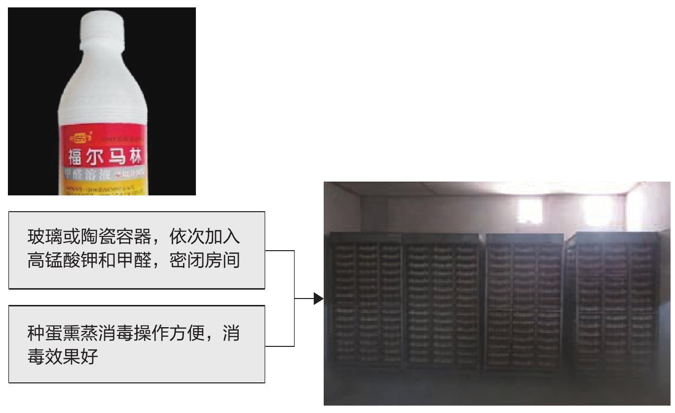 三、种蛋的保存