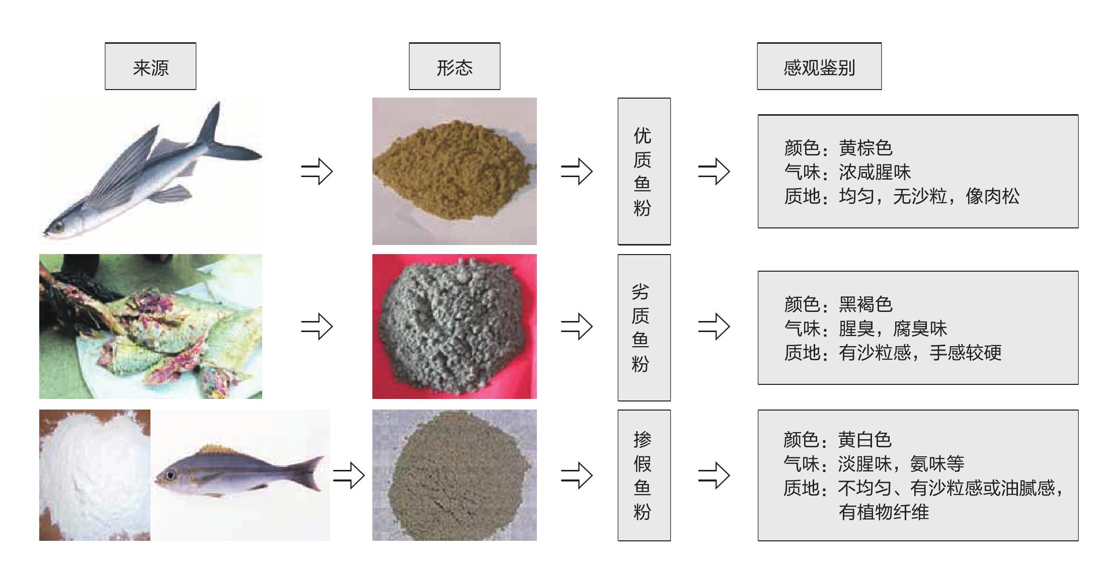 二、蛋白质饲料