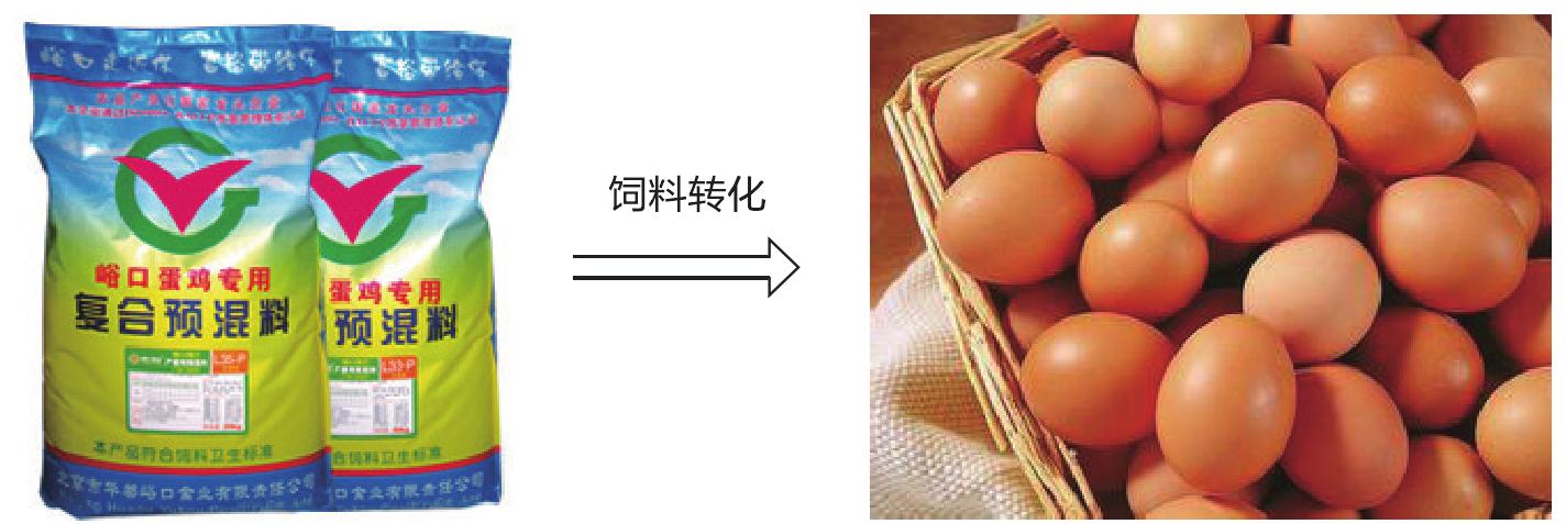 七、蛋鸡的主要生产性能指标