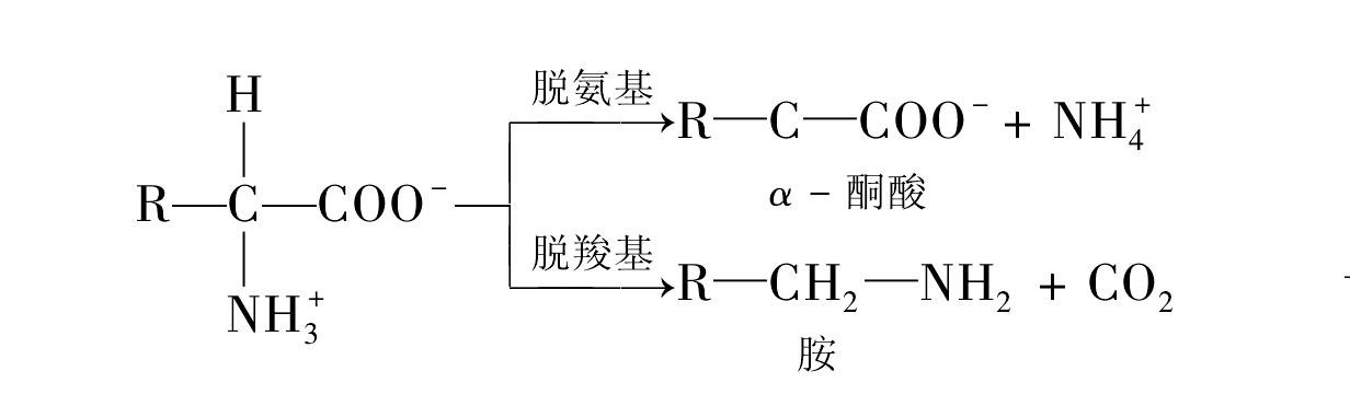 第一節(jié) 基本原理