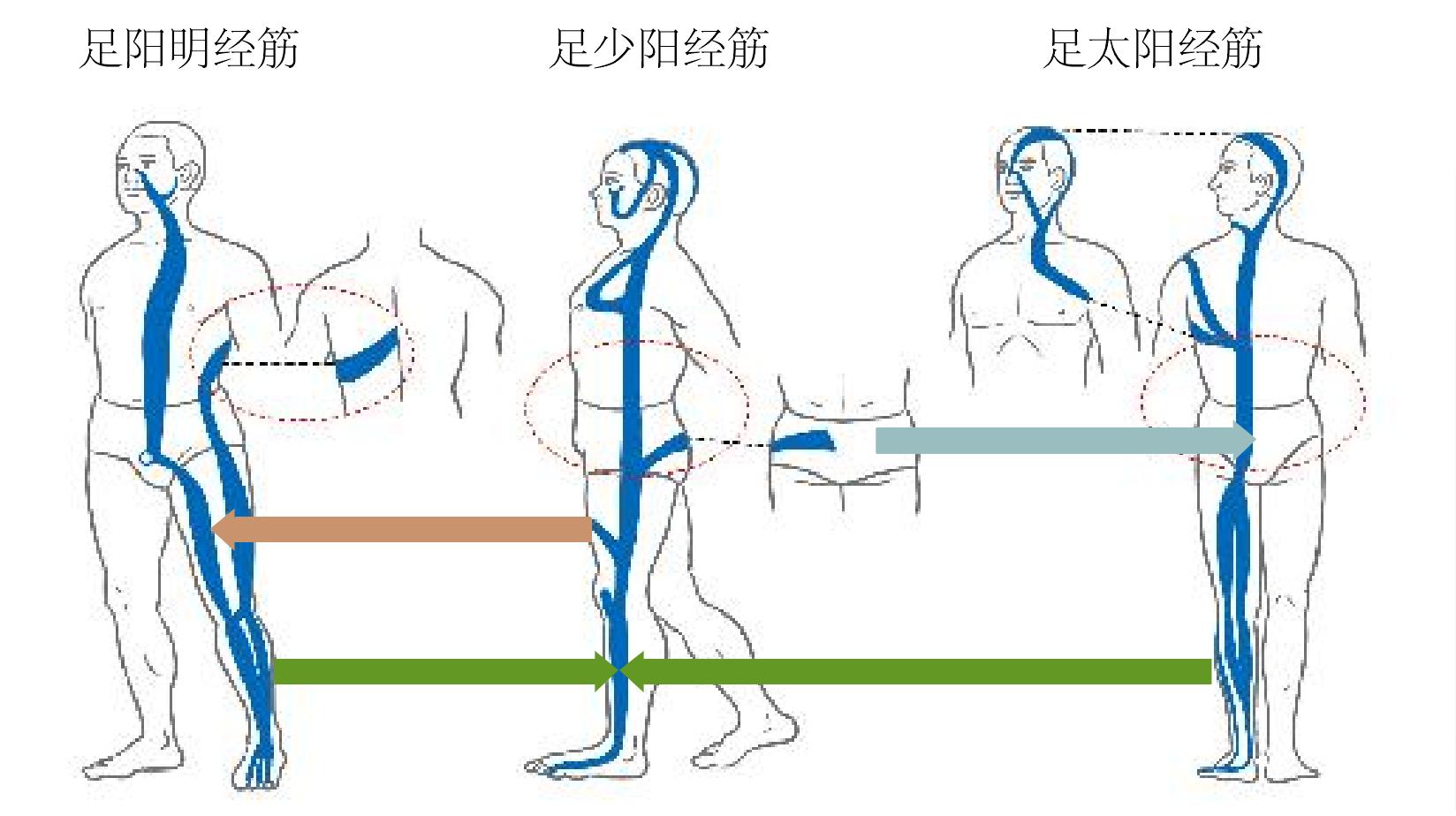 專病療法4 顏面神經(jīng)麻痹之療法