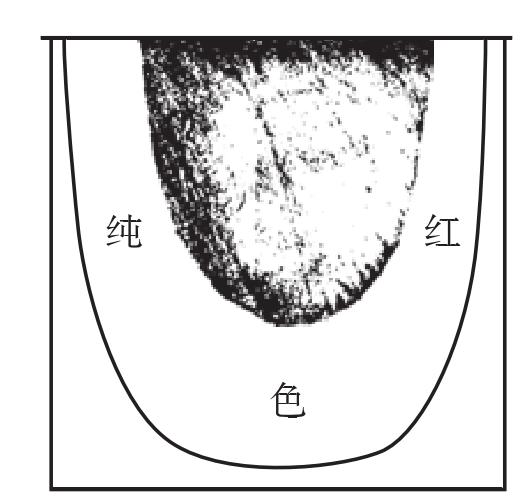中焙舌