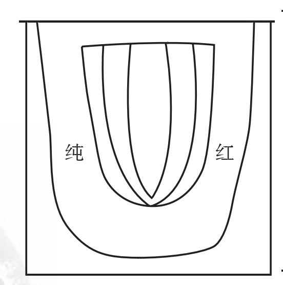 厥陰舌