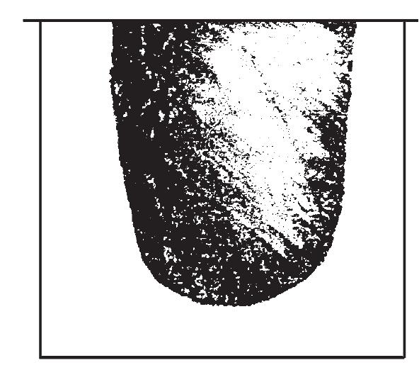 死現(xiàn)舌