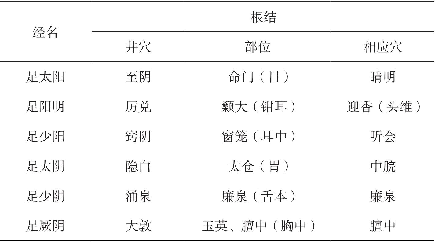 五、實(shí)體經(jīng)絡(luò)理論的分部研究