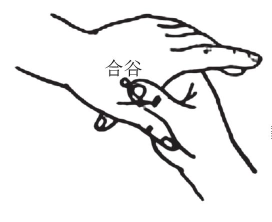 合谷