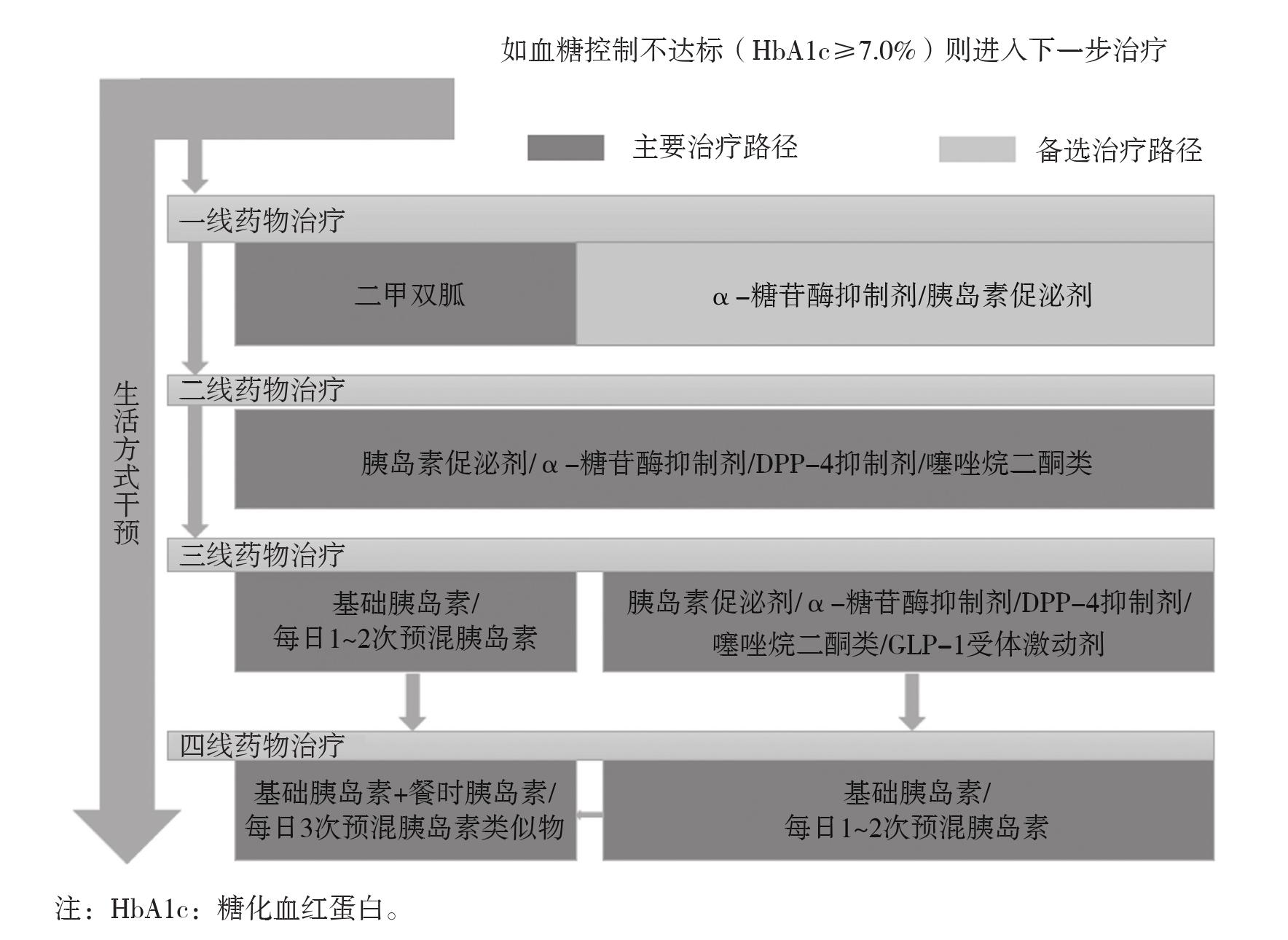四、藥物治療