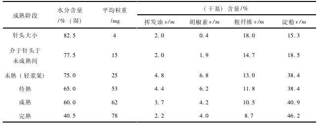 24 黑胡椒