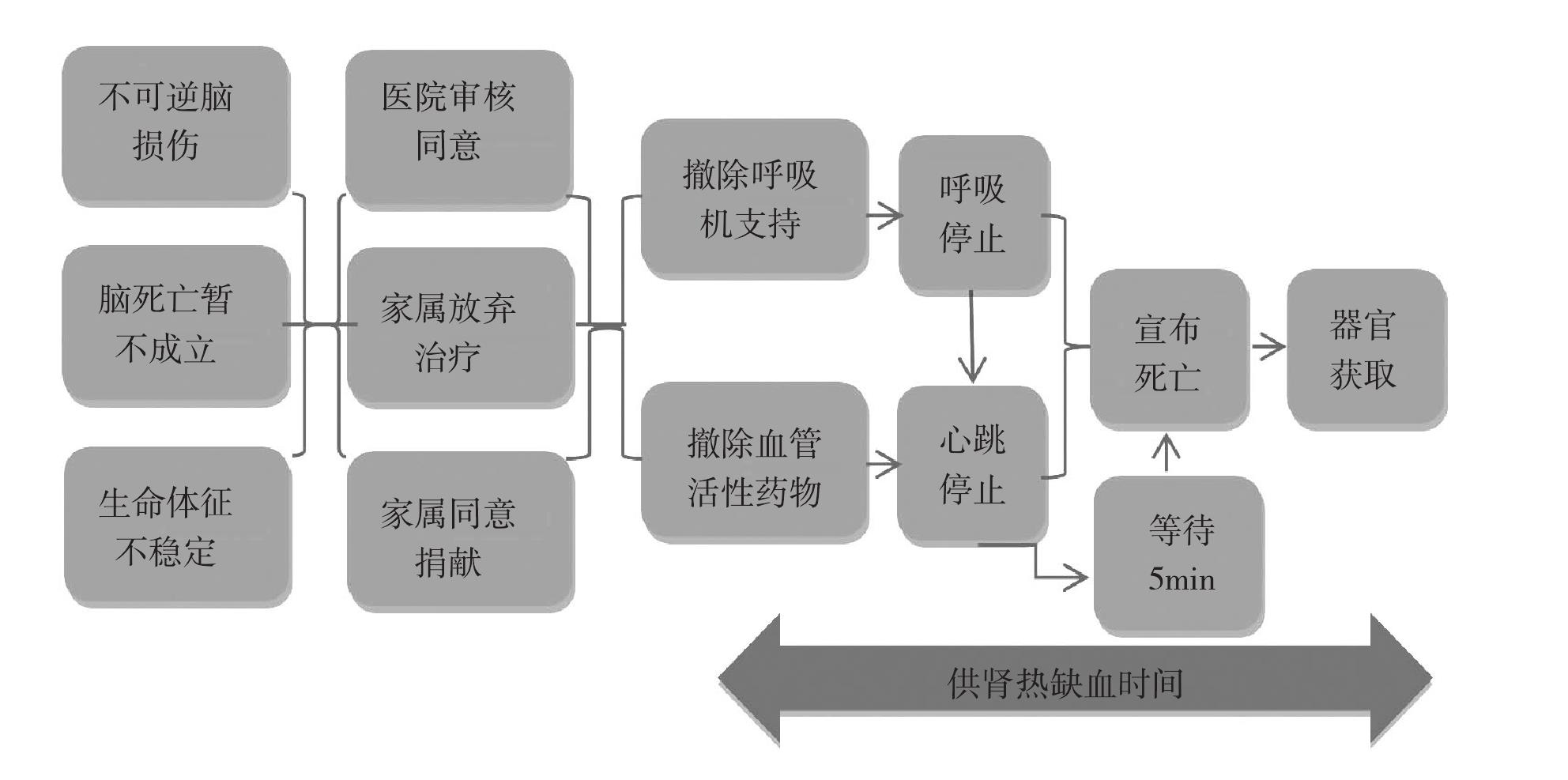 二、中國二類器官捐獻與獲取流程(圖3-2)