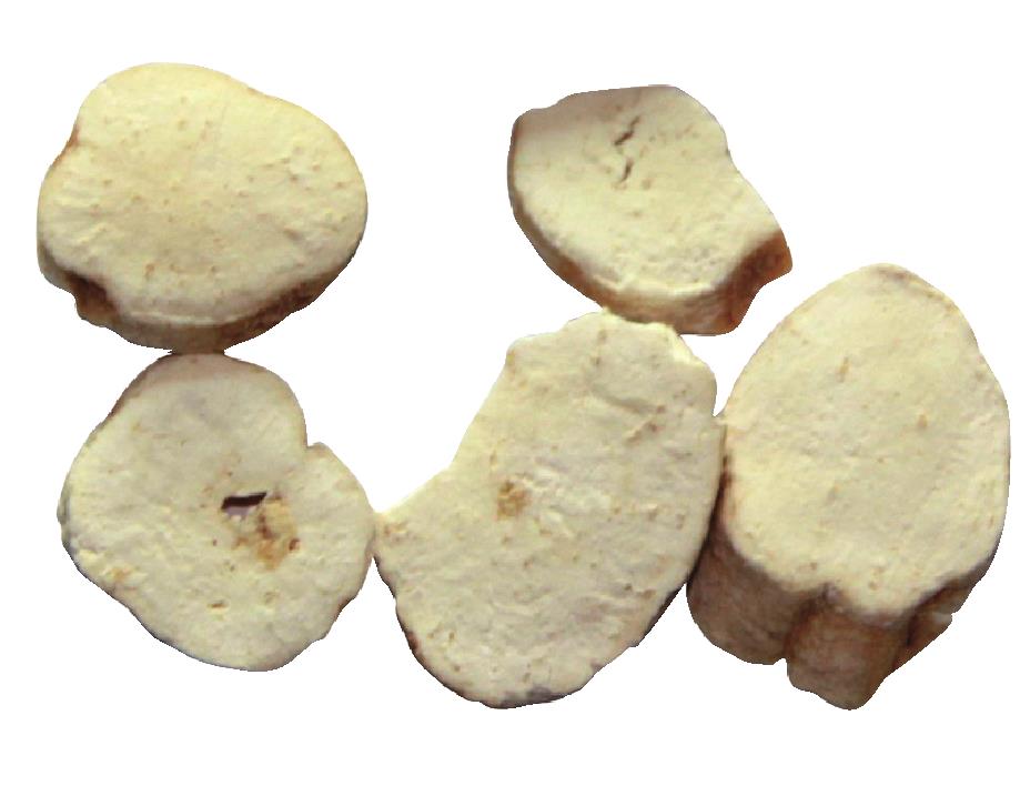 天花粉(根)