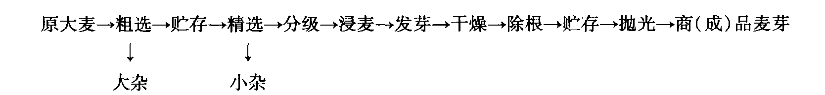 三、麥芽生產(chǎn)基本工藝流程