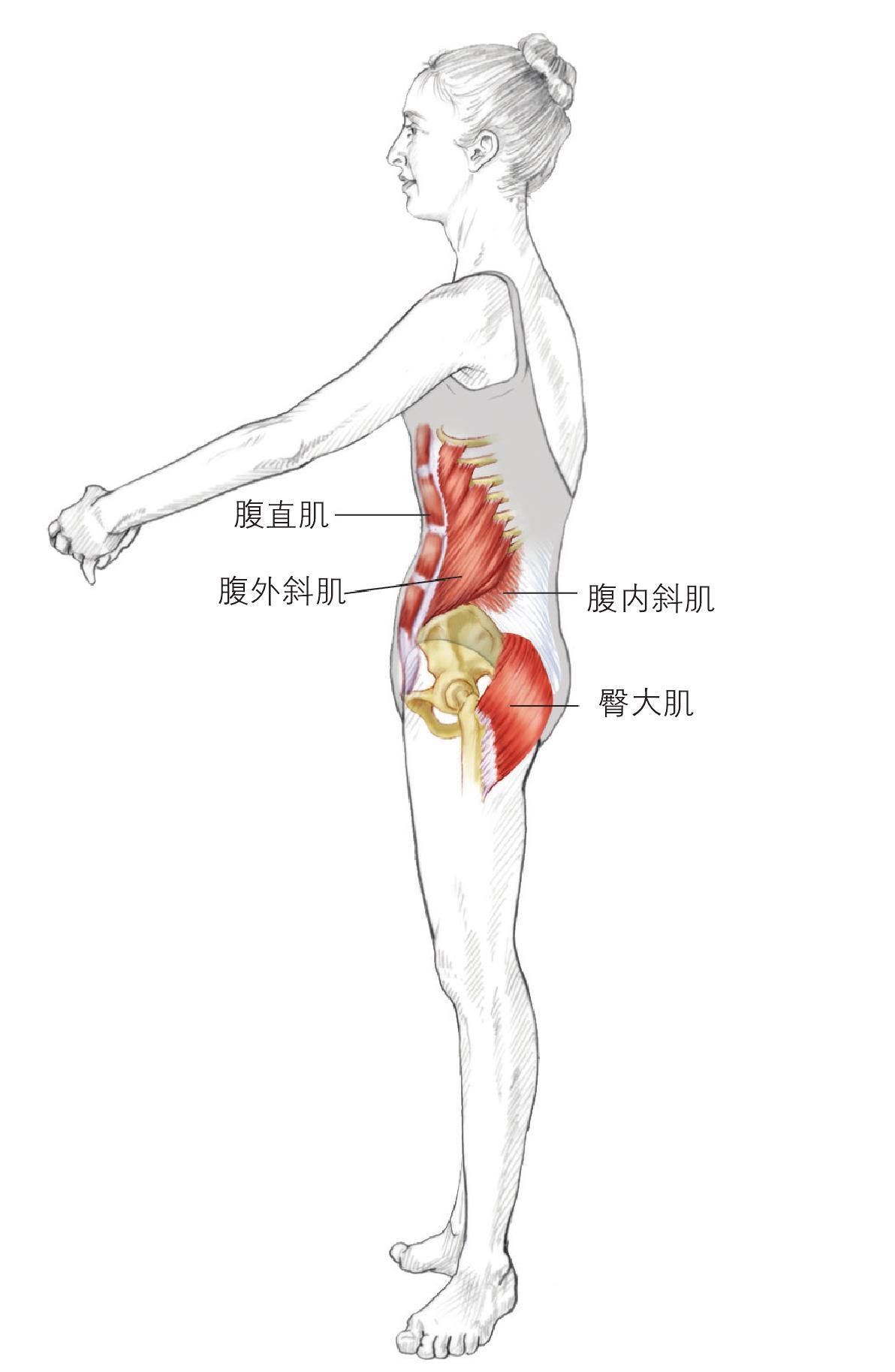 中立位