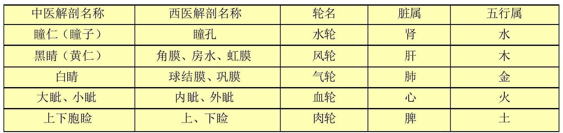 二、五臟與“五輪”概念