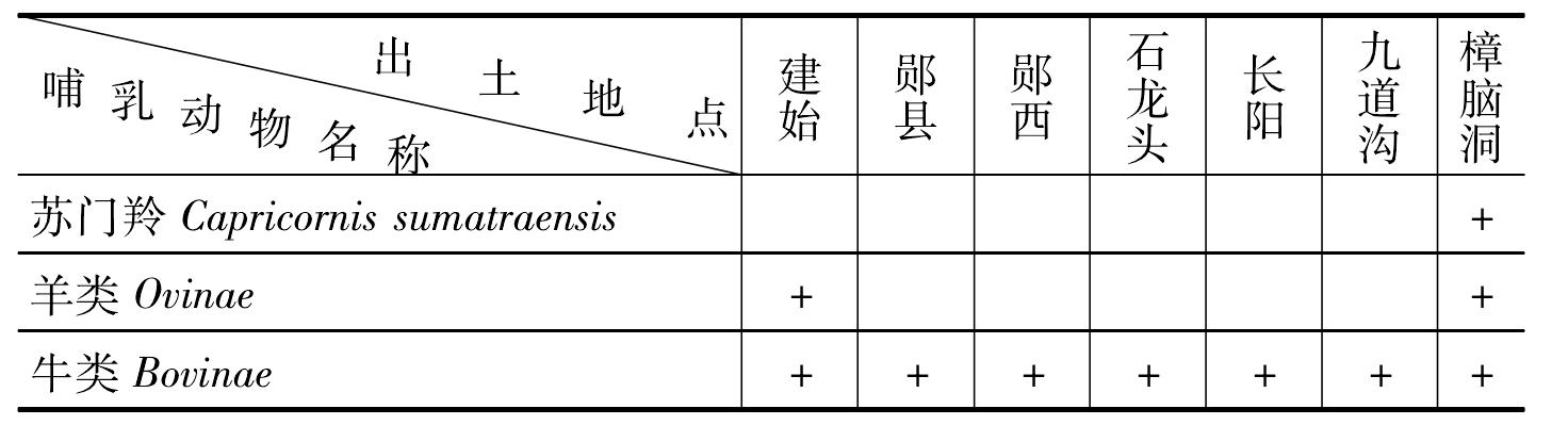 二 遗址的时代