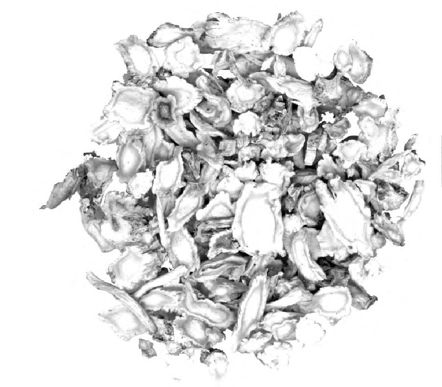 風(fēng)濕性心臟病