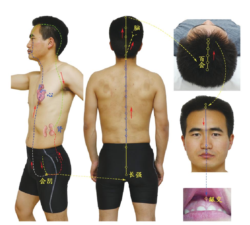 第四節(jié) 督脈