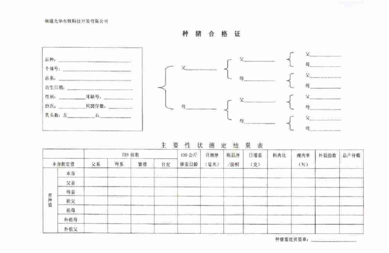 三、后备种猪选购和引种注意事项