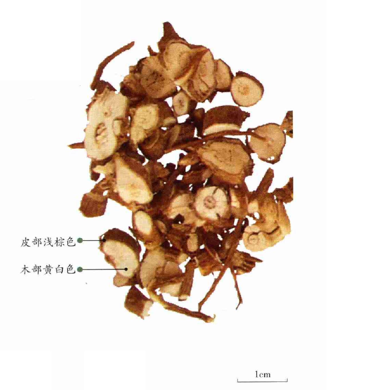 柴胡