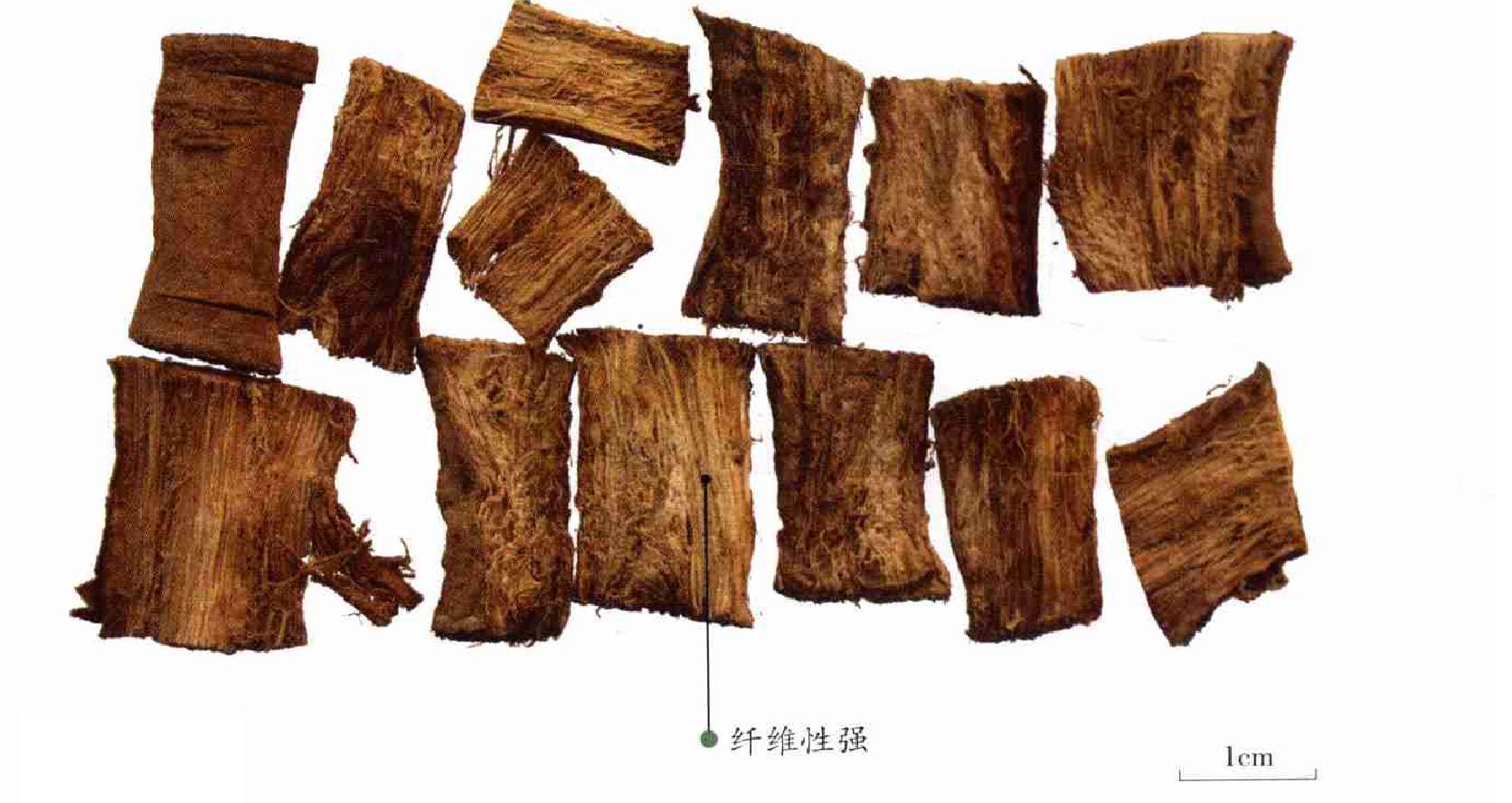 葛根