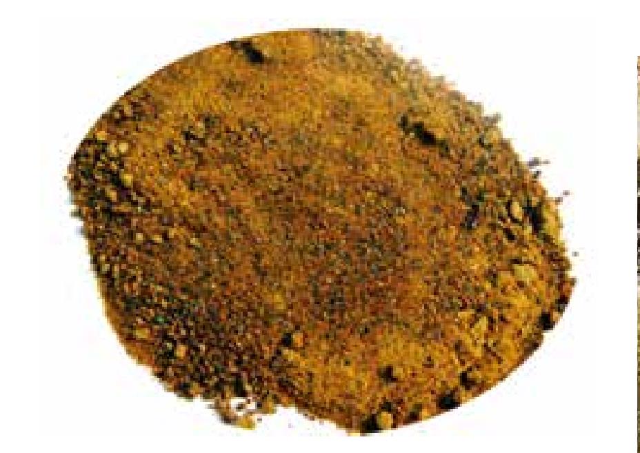 豬膽粉(汁)