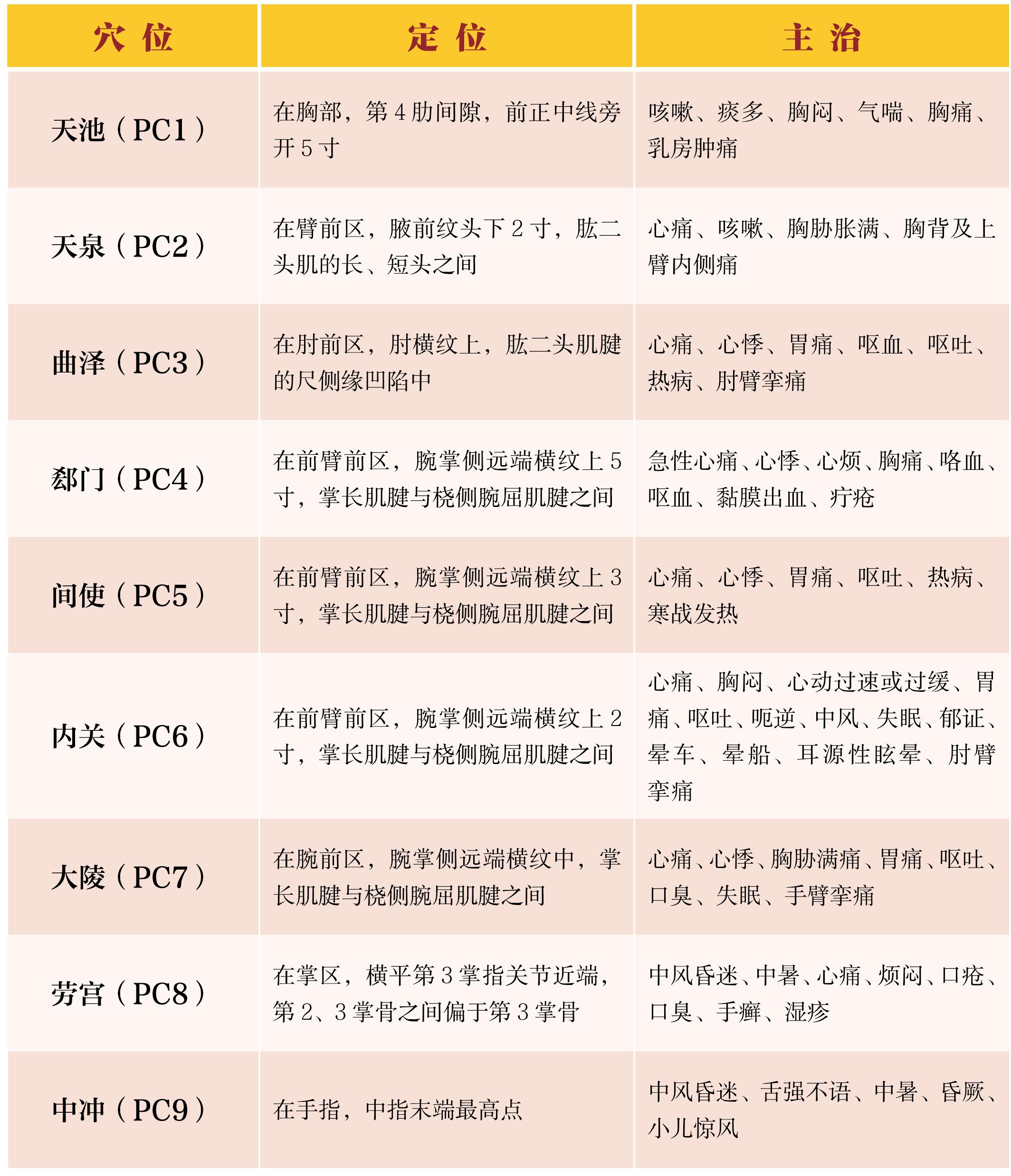 手厥陰心包經(jīng)(PC)