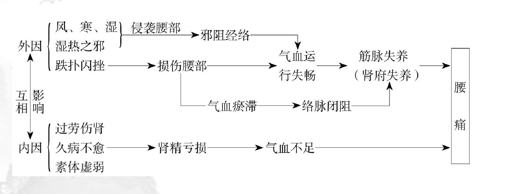 第三十一節(jié) 腰痛