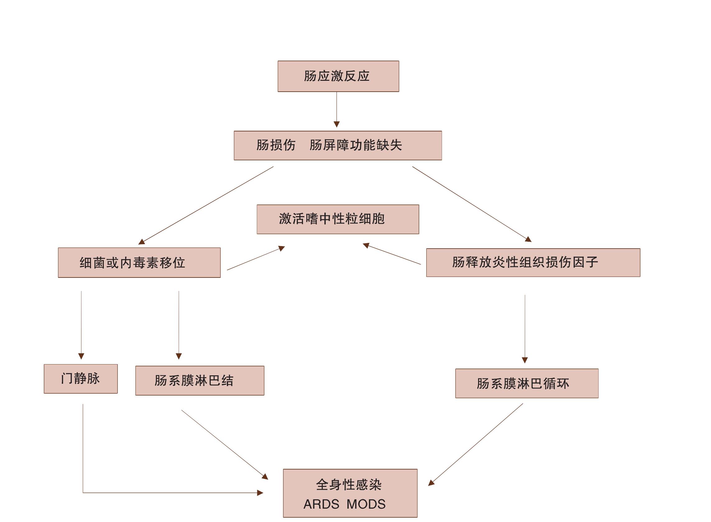 第三節(jié) 腸源性感染的發(fā)生機(jī)制