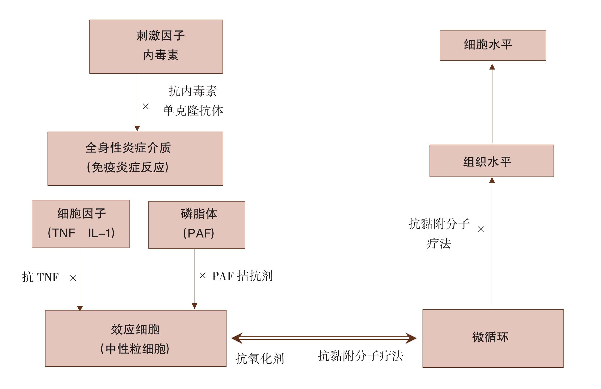 第四節(jié) 腸源性感染的防治