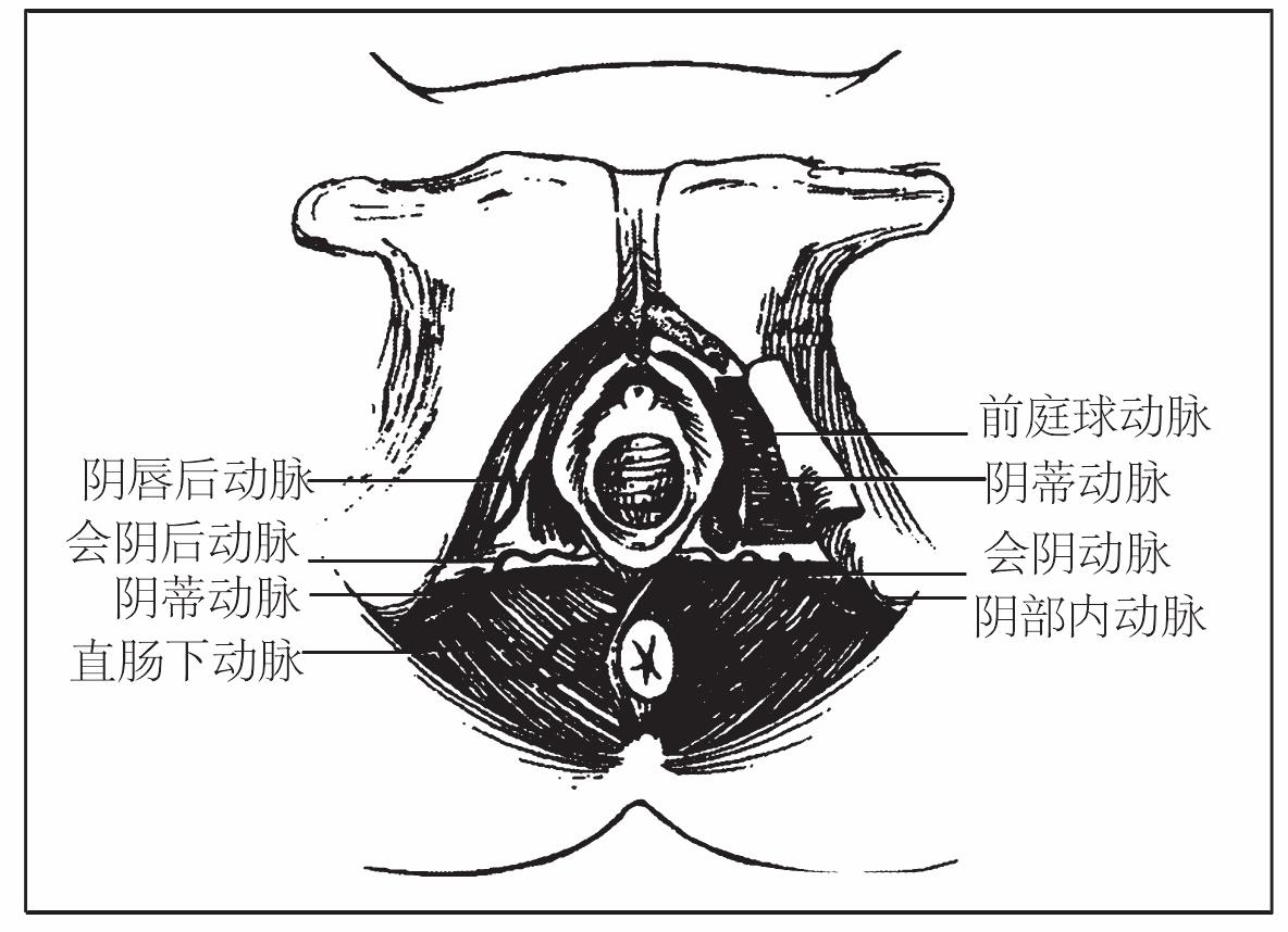 24 外陰血腫