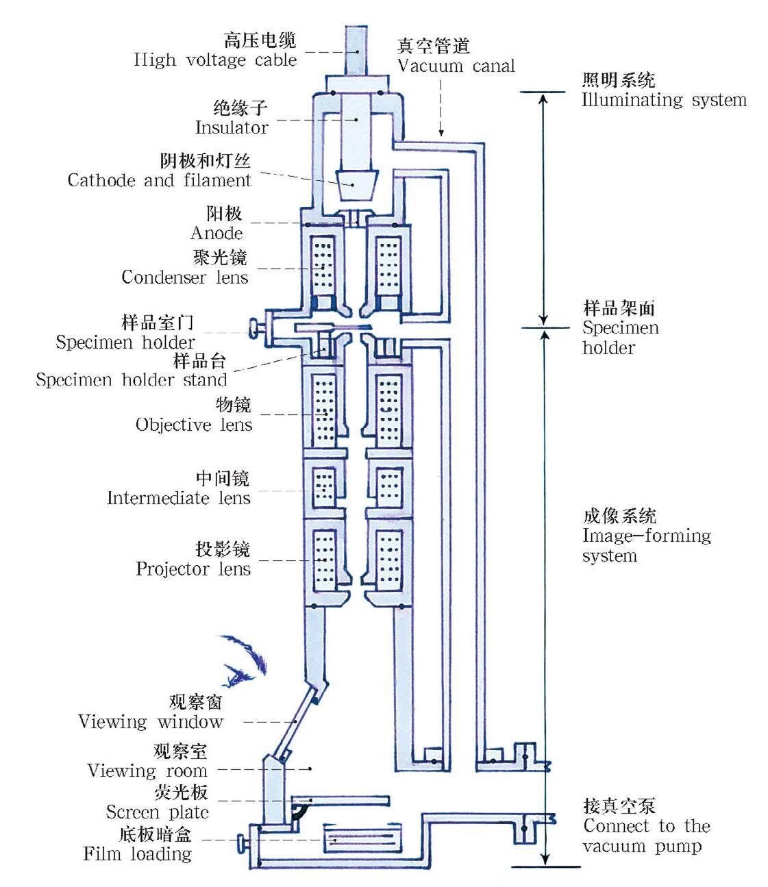 透射電子顯微鏡結(jié)構(gòu)圖
