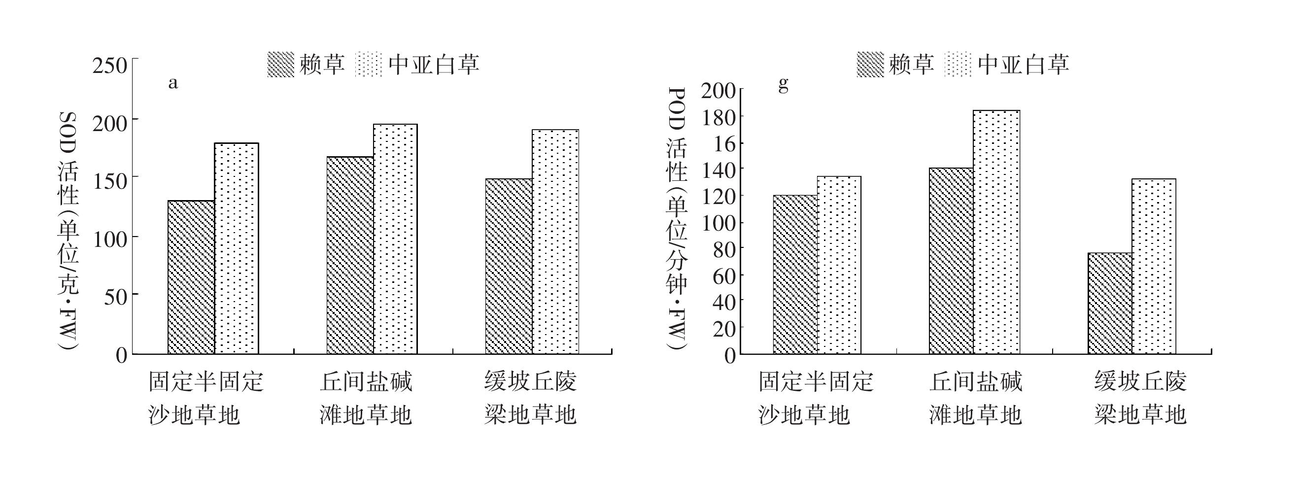 寧夏中部干旱帶沙質(zhì)草地賴草(Leymus secalinus)和中亞白草(Pennisetum centrasiaticum)的抗逆生理特性