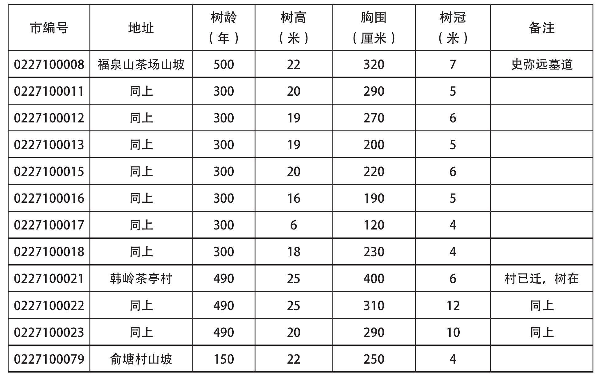 第四節(jié) 楓香