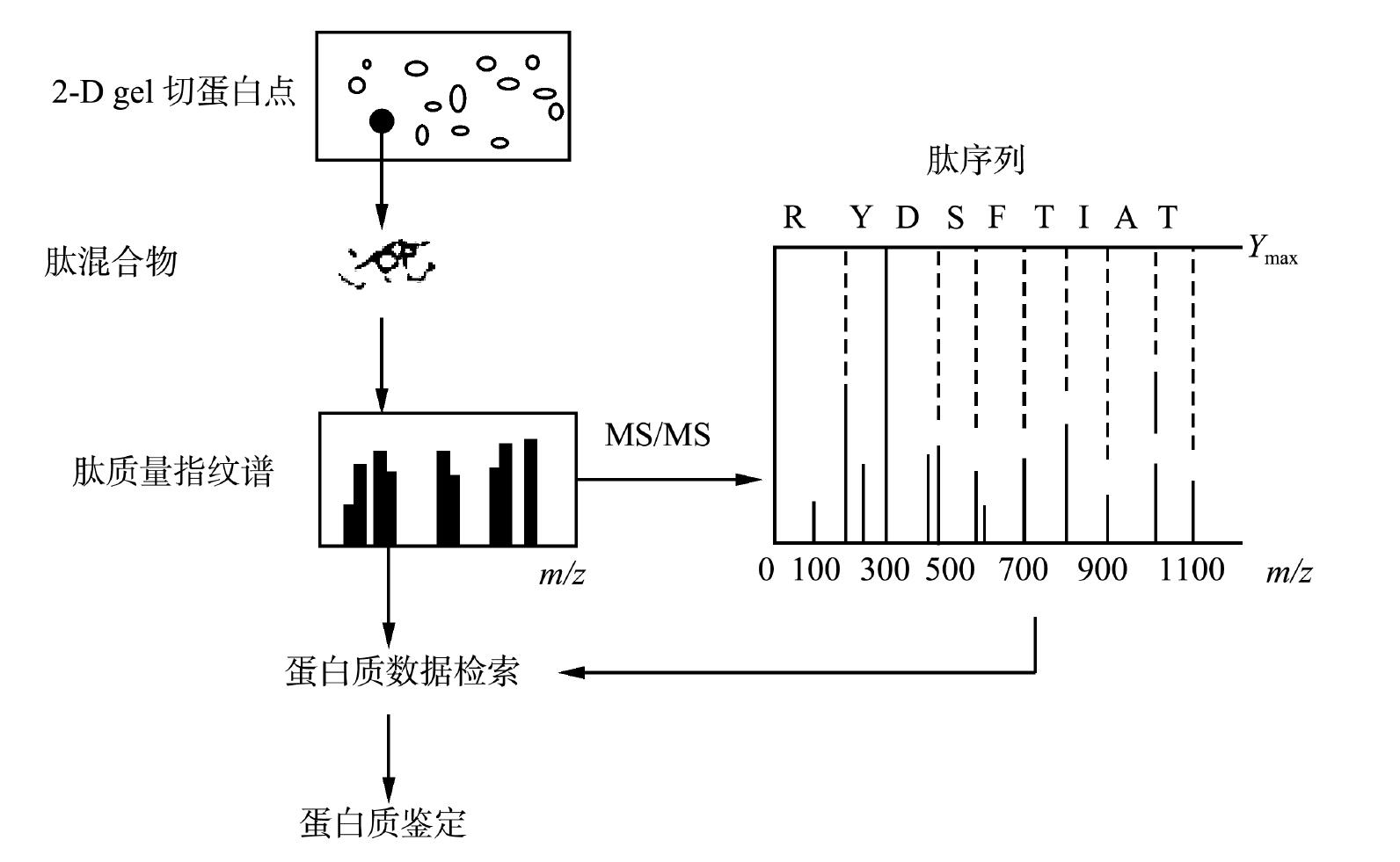 二、高通量分離和鑒定技術