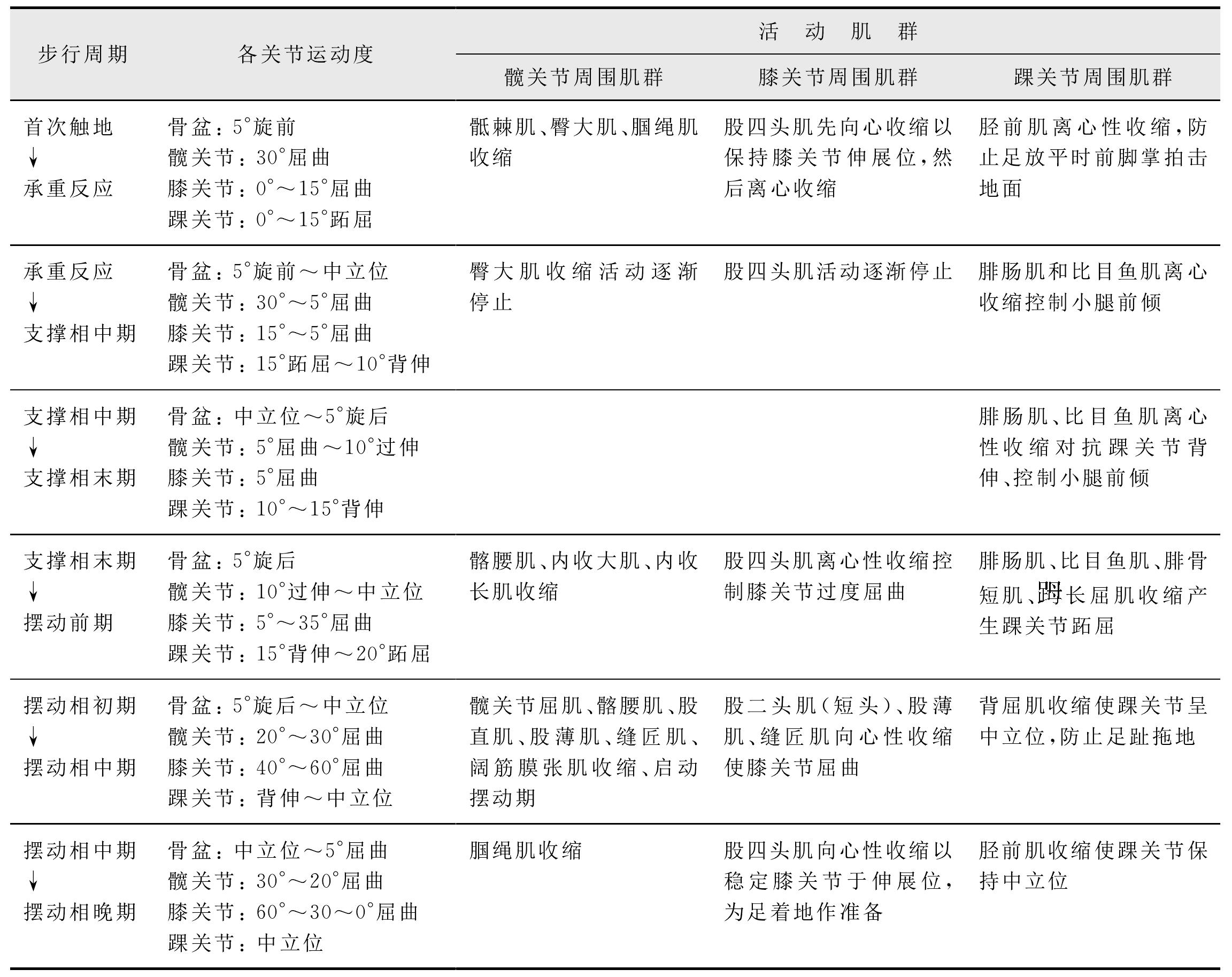 五、步態(tài)分析